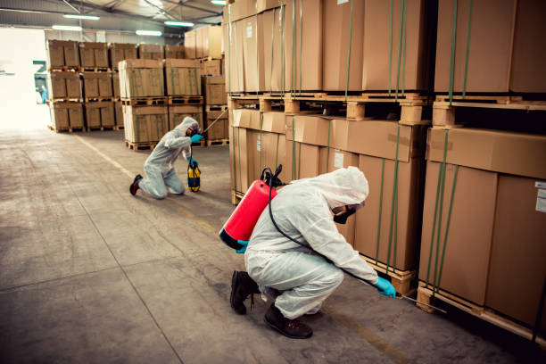 Best Pest Inspection Near Me  in Bear Valley Springs, CA