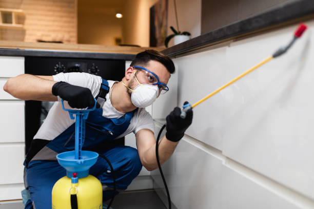 Best Emergency Pest Control  in Bear Valley Springs, CA