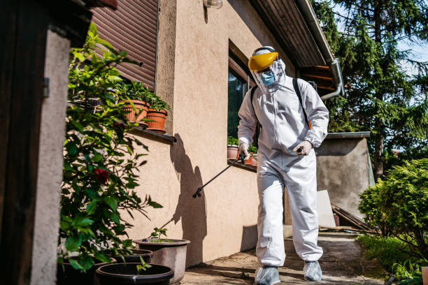 Insect Control in Bear Valley Springs, CA