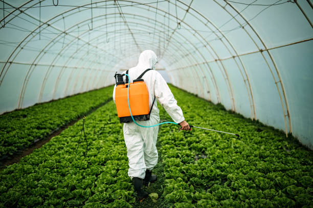 Best Insect Control  in Bear Valley Springs, CA