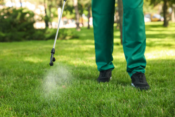 Best Flea Control Services  in Bear Valley Springs, CA
