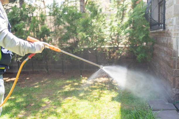 Best Pest Control Near Me  in Bear Valley Springs, CA